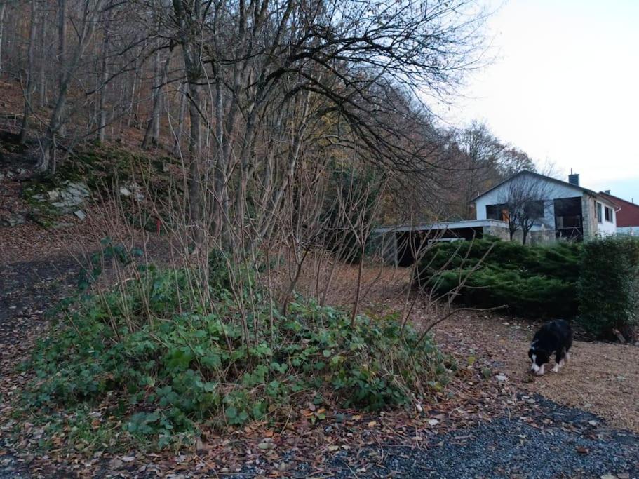 Leopold, Gite Citadin Au Pied Des Bois! Villa Spa Exterior photo